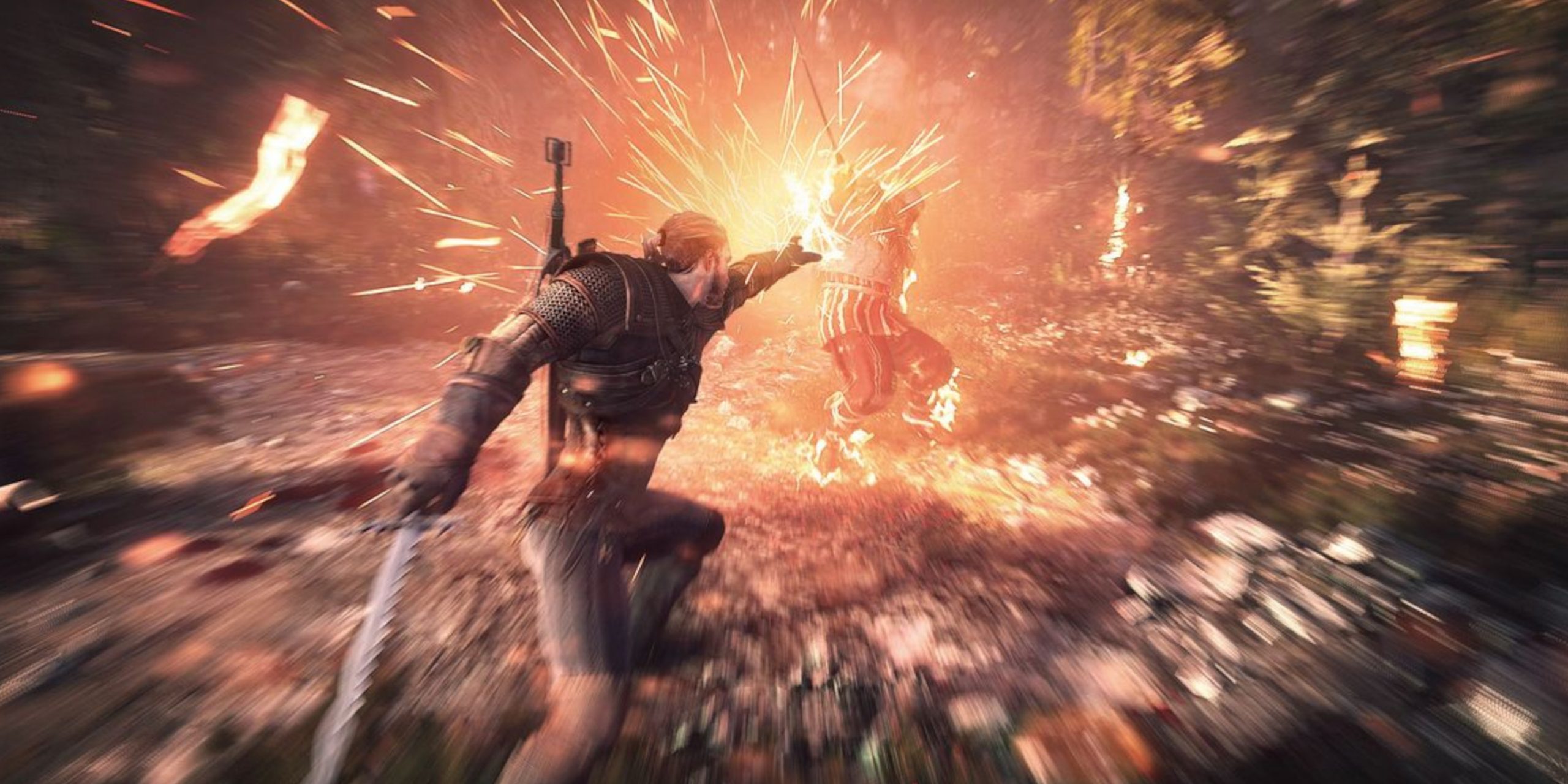 Witcher 3 combat