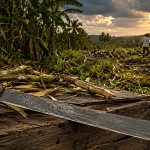 Weathered Machete in a Sugar Cane Field