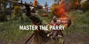 Elden Ring Parry