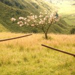 The Last Samurai = Weapons