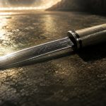 The Subtle Knife