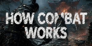 Nio 3: How Combat Works